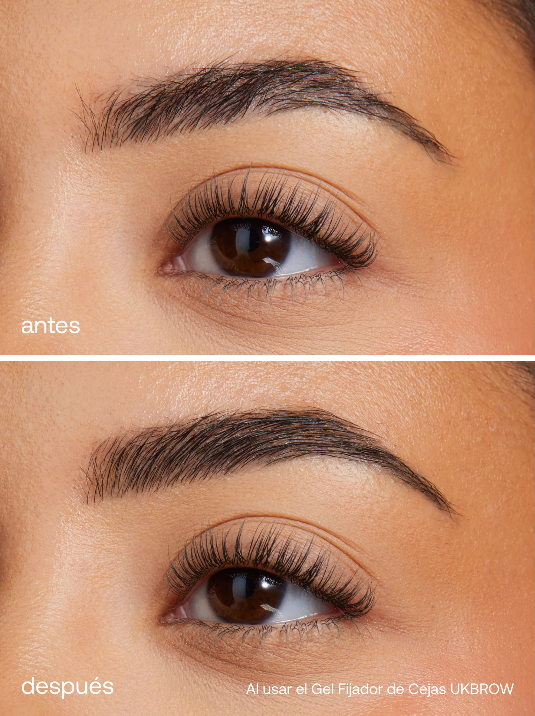 Brow Trio - Image 8