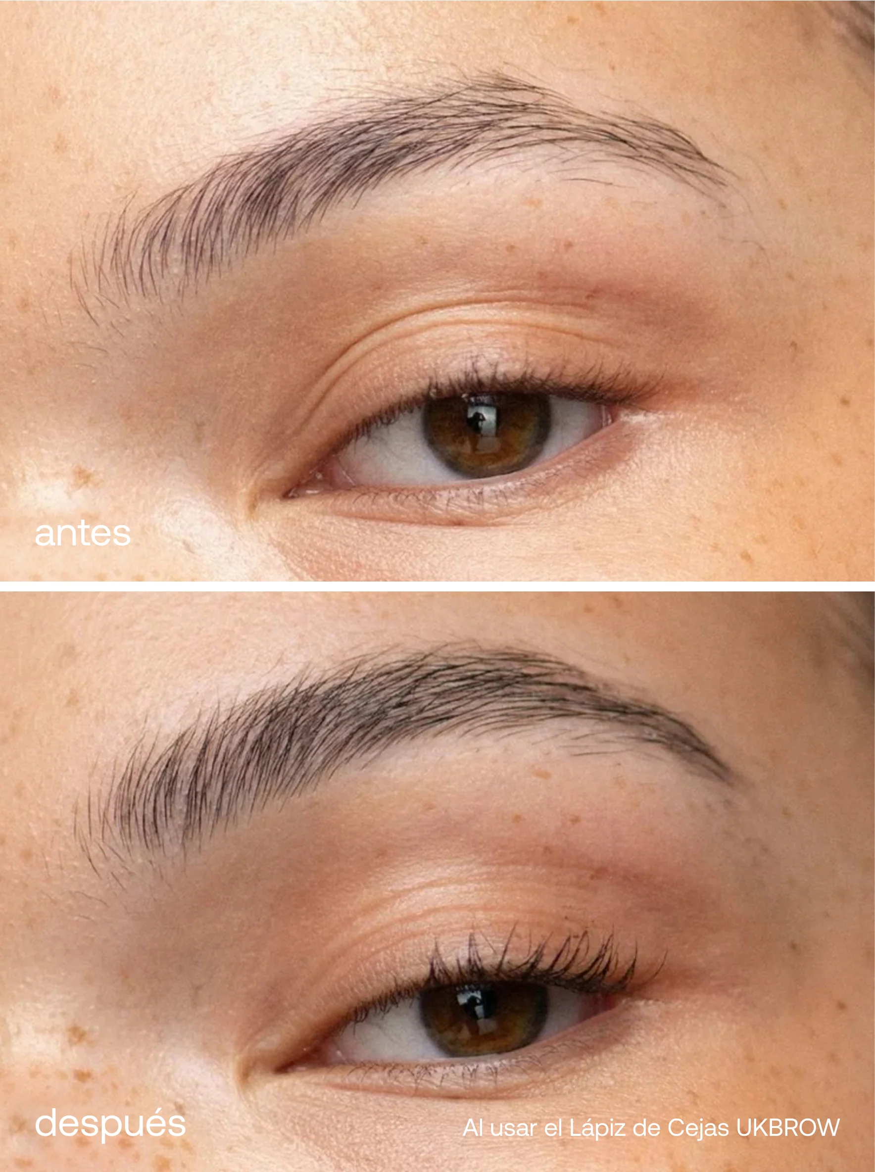 Set Brow Boost - Image 6