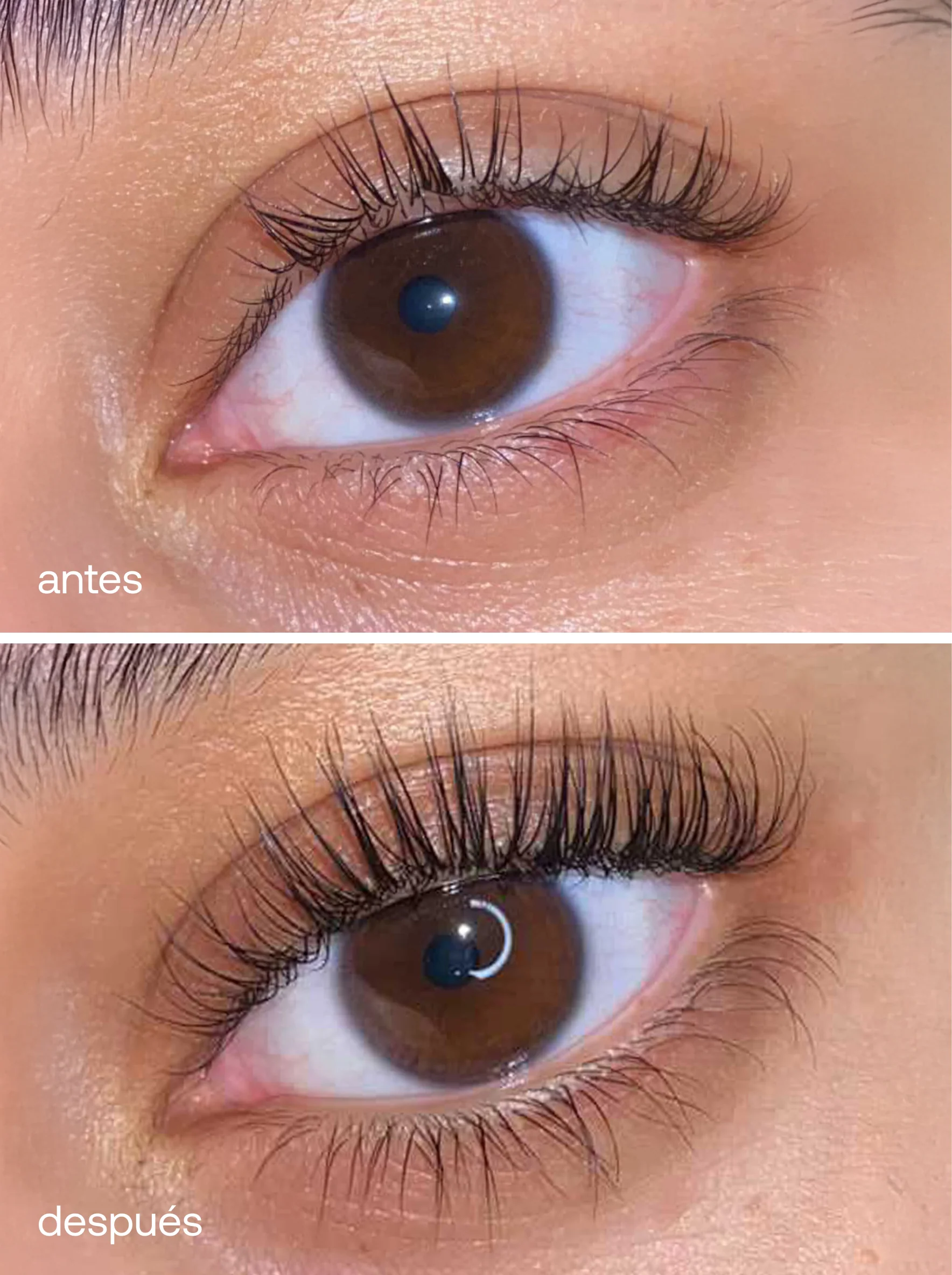 Pack Dúo Sérum De Pestañas Uklash - Image 6